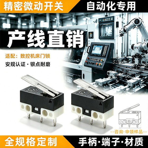 小型微动开关DM1-13P-30-3CM数控机床门锁厂家直销按压式微动开关